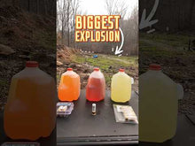 Load and play video in Gallery viewer, 12 gauge Bear Claw (7 556 projectiles)